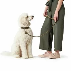 HUNTER Halsband, Gr. L, Olivgrün -Günstiges Tierbedarf Geschäft unnamed file 2342