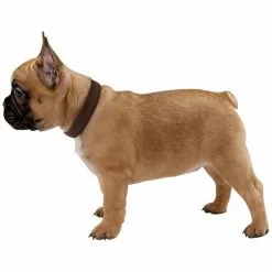 HUNTER Halsung, Gr. M-L, Braun -Günstiges Tierbedarf Geschäft unnamed file 2351