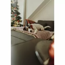 HUNTER Hunde-Decke, BxL: 80 X 120 Cm, Rot 8 HUNTER Hunde-Decke, BxL: 80 X 120 Cm, Rot -Günstiges Tierbedarf Geschäft unnamed file 237