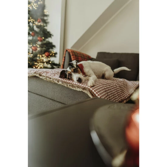 HUNTER Hunde-Decke, BxL: 80 X 120 Cm, Rot 5 HUNTER Hunde-Decke, BxL: 80 X 120 Cm, Rot – Bild 3