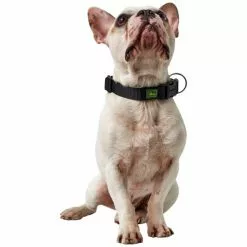 HUNTER Halsung, Gr. L-XL, Schwarz -Günstiges Tierbedarf Geschäft unnamed file 2422