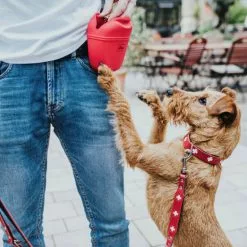 HUNTER Halsband, Gr. M-L, Rot/schwarz -Günstiges Tierbedarf Geschäft unnamed file 2456