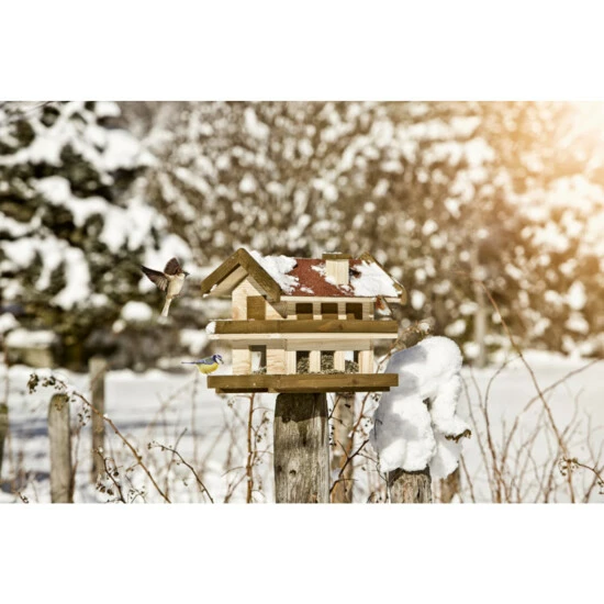 WINDHAGER Vogelfuttersilo Landhaus XL 4 WINDHAGER Vogelfuttersilo Landhaus XL – Bild 2