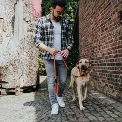 HUNTER Dressurhalsung, Gr. M, Rot -Günstiges Tierbedarf Geschäft unnamed file 2593