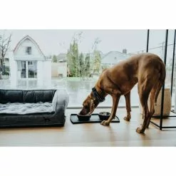 HUNTER Halsung, Gr. M, Dunkelblau/grau -Günstiges Tierbedarf Geschäft unnamed file 2639