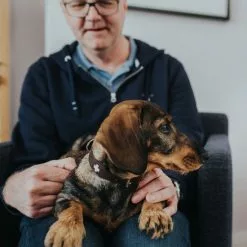 HUNTER Halsband, Gr. L-XL, Braun/schwarz -Günstiges Tierbedarf Geschäft unnamed file 2705