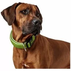 HUNTER Halsung, Gr. L-XL, Limettengrün -Günstiges Tierbedarf Geschäft unnamed file 2715