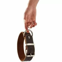 HUNTER Halsband, Gr. L, Dunkelbraun -Günstiges Tierbedarf Geschäft unnamed file 2726