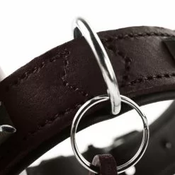 HUNTER Halsband, Gr. M, Dunkelbraun/schwarz -Günstiges Tierbedarf Geschäft unnamed file 2738