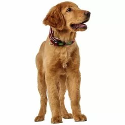 HUNTER Halsung, Gr. XL, Rot -Günstiges Tierbedarf Geschäft unnamed file 2780