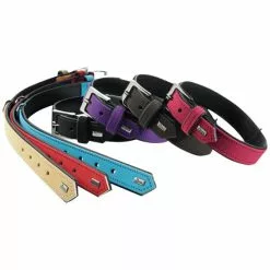 HUNTER Halsband, Gr. XS-S, Braun/schwarz -Günstiges Tierbedarf Geschäft unnamed file 2840