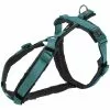 Hunde-Geschirr, M–L, Nylon, Ozeanblau/graphitfarben -Günstiges Tierbedarf Geschäft unnamed file 286