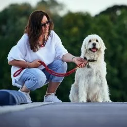 HUNTER Halsband, Gr. S-M, Bordeauxrot -Günstiges Tierbedarf Geschäft unnamed file 2987