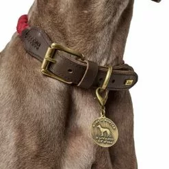 HUNTER Halsband, Gr. S-M, Bordeauxrot -Günstiges Tierbedarf Geschäft unnamed file 2993