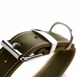 HUNTER Halsband, Gr. M-L, Olivgrün -Günstiges Tierbedarf Geschäft unnamed file 3005