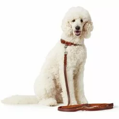 HUNTER Führleine, Gr. 250 Cm, Cognacfarben -Günstiges Tierbedarf Geschäft unnamed file 3077