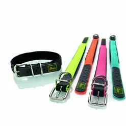 HUNTER Halsband, Gr. M-L, Türkis -Günstiges Tierbedarf Geschäft unnamed file 3152