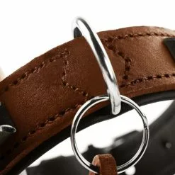 HUNTER Halsband, Gr. S-M, Cognacfarben/schwarz -Günstiges Tierbedarf Geschäft unnamed file 3309