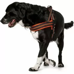 HUNTER Hunde-Geschirr, L, Nylon/polyester, Orange -Günstiges Tierbedarf Geschäft unnamed file 3421