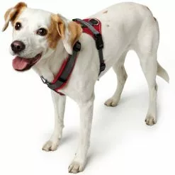 HUNTER Geschirr, M-L, Nylon/polyester, Rot/grau 8 HUNTER Geschirr, M-L, Nylon/polyester, Rot/grau -Günstiges Tierbedarf Geschäft unnamed file 3438