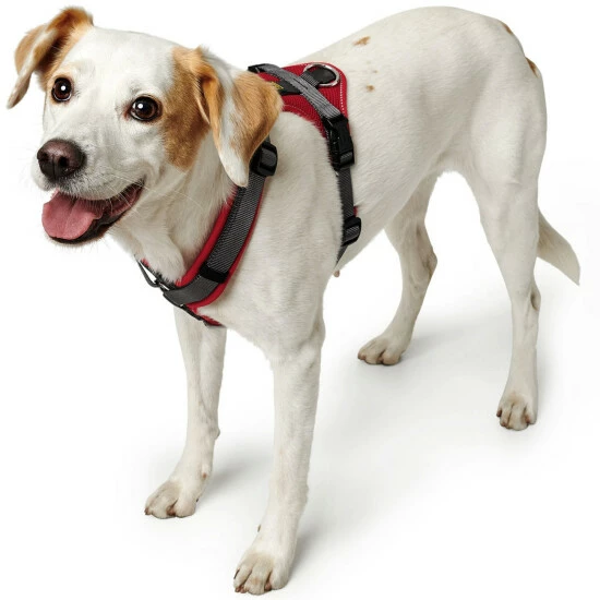 HUNTER Geschirr, XS-S, Nylon/polyester, Rot/grau 5 HUNTER Geschirr, XS-S, Nylon/polyester, Rot/grau – Bild 3