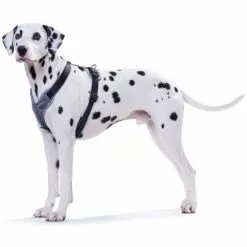 HUNTER Geschirr, M/2, Nylon/neopren, Schwarz/grau 7 HUNTER Geschirr, M/2, Nylon/neopren, Schwarz/grau -Günstiges Tierbedarf Geschäft unnamed file 3483