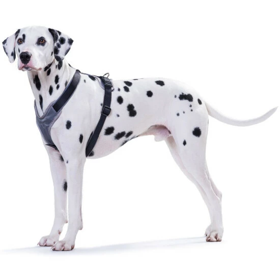 HUNTER Geschirr, M/2, Nylon/neopren, Schwarz/grau 5 HUNTER Geschirr, M/2, Nylon/neopren, Schwarz/grau – Bild 3