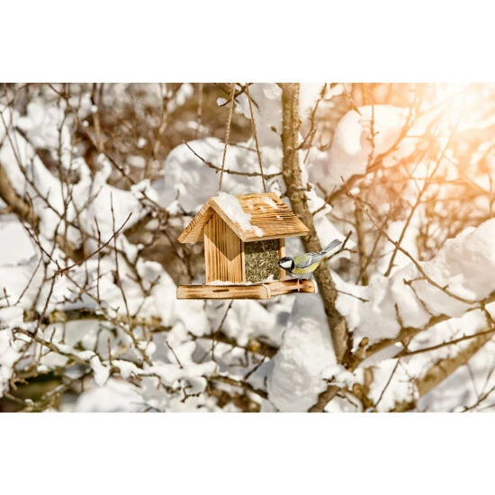 WINDHAGER Vogelfuttersilo Garden Massiv 4 WINDHAGER Vogelfuttersilo Garden Massiv – Bild 2