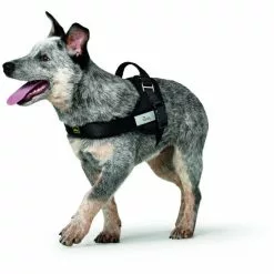 HUNTER Hunde-Geschirr, XS-S, Nylon/fleece, Schwarz 7 HUNTER Hunde-Geschirr, XS-S, Nylon/fleece, Schwarz -Günstiges Tierbedarf Geschäft unnamed file 3496