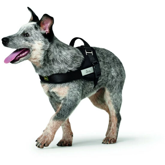 HUNTER Hunde-Geschirr, XS-S, Nylon/fleece, Schwarz 5 HUNTER Hunde-Geschirr, XS-S, Nylon/fleece, Schwarz – Bild 3