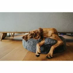 HUNTER Hundebett Und Katzenbett, BxL: 60 X 60 Cm, Anthrazit 17 HUNTER Hundebett Und Katzenbett, BxL: 60 X 60 Cm, Anthrazit -Günstiges Tierbedarf Geschäft unnamed file 35