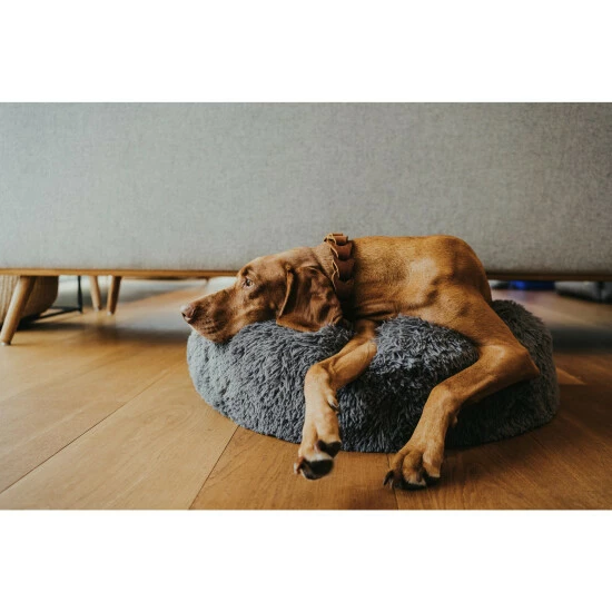 HUNTER Hundebett Und Katzenbett, BxL: 60 X 60 Cm, Anthrazit 10 HUNTER Hundebett Und Katzenbett, BxL: 60 X 60 Cm, Anthrazit – Bild 8