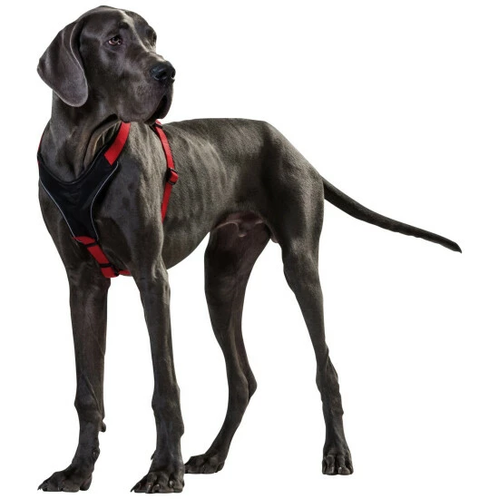 HUNTER Geschirr, L, Nylon/neopren, Rot/schwarz 4 HUNTER Geschirr, L, Nylon/neopren, Rot/schwarz – Bild 2