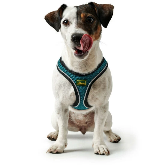 HUNTER Geschirr, XXS-XS, Polyester/mesh, Türkis 7 HUNTER Geschirr, XXS-XS, Polyester/mesh, Türkis – Bild 5