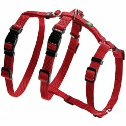 HUNTER Hunde-Sicherheitsgurt, S-M, Nylon, Rot