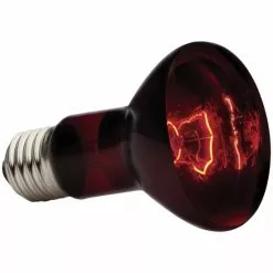 EXO TERRA Infrarot-Heizlampe, 50W, Geeignet Für: Terrarien