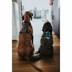 HUNTER Geschirr, M, Nylon/polyester/neopren, Hellblau/grau 9 HUNTER Geschirr, M, Nylon/polyester/neopren, Hellblau/grau -Günstiges Tierbedarf Geschäft unnamed file 3570