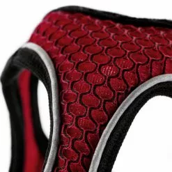 HUNTER Geschirr, XXS, Polyester/mesh, Rot 8 HUNTER Geschirr, XXS, Polyester/mesh, Rot -Günstiges Tierbedarf Geschäft unnamed file 3580