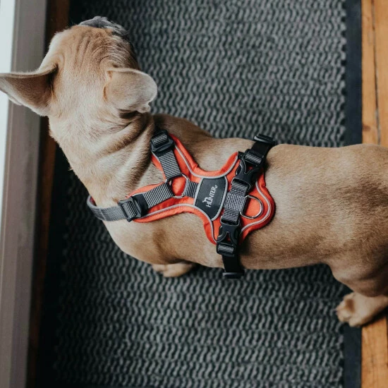 HUNTER Geschirr, L, Nylon/polyester/neopren, Rot/grau 6 HUNTER Geschirr, L, Nylon/polyester/neopren, Rot/grau – Bild 4