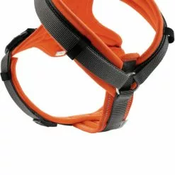 HUNTER Geschirr, XS, Nylon/polyester, Orange/grau -Günstiges Tierbedarf Geschäft unnamed file 3627