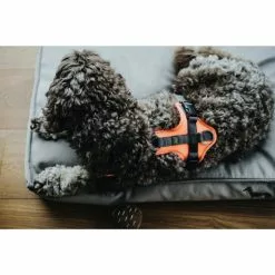 HUNTER Geschirr, XS, Nylon/polyester, Orange/grau -Günstiges Tierbedarf Geschäft unnamed file 3628