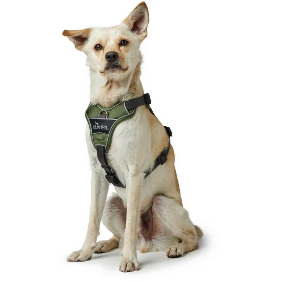 HUNTER Geschirr, XS, Nylon/polyester/neopren, Grün/grau 8 HUNTER Geschirr, XS, Nylon/polyester/neopren, Grün/grau – Bild 6