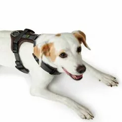 HUNTER Geschirr, XS-S, Nylon/polyester, Braun/grau -Günstiges Tierbedarf Geschäft unnamed file 3672