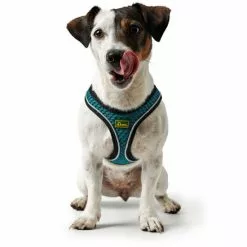 HUNTER Geschirr, M-L, Polyester/mesh, Türkis 14 HUNTER Geschirr, M-L, Polyester/mesh, Türkis -Günstiges Tierbedarf Geschäft unnamed file 3691