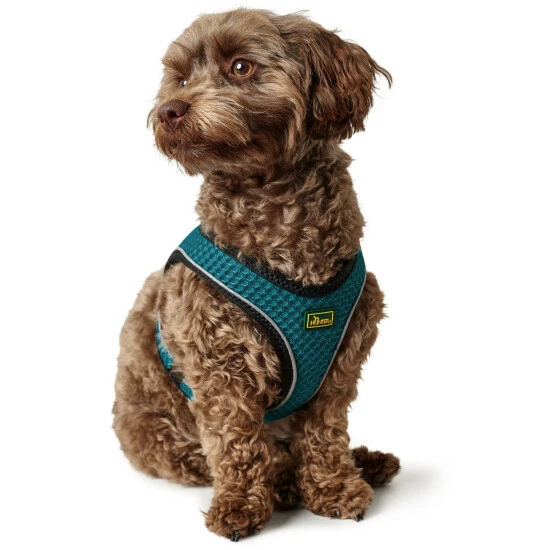 HUNTER Geschirr, M-L, Polyester/mesh, Türkis 8 HUNTER Geschirr, M-L, Polyester/mesh, Türkis – Bild 6