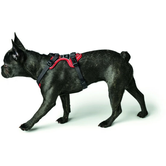 HUNTER Geschirr, XS, Nylon/polyester/neopren, Violett/grau 6 HUNTER Geschirr, XS, Nylon/polyester/neopren, Violett/grau – Bild 4