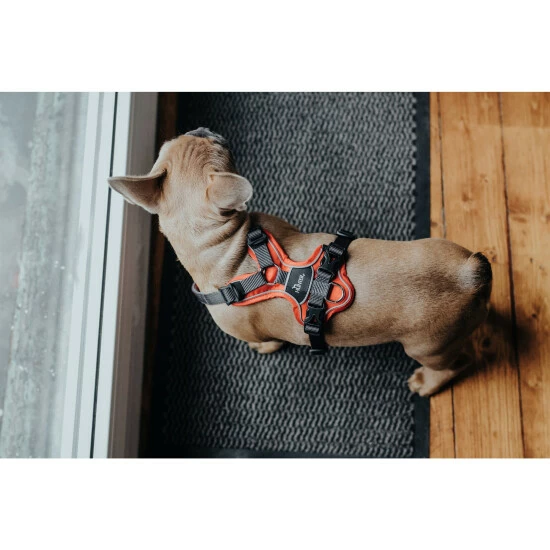 HUNTER Geschirr, XS, Nylon/polyester/neopren, Violett/grau 8 HUNTER Geschirr, XS, Nylon/polyester/neopren, Violett/grau – Bild 6