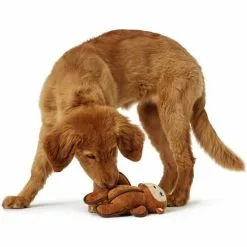 HUNTER Hundespielzeug, Mehrfarbig -Günstiges Tierbedarf Geschäft unnamed file 3729