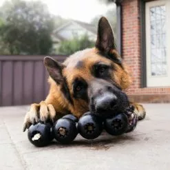 KONG® Hundespielzeug, Mehrfarbig -Günstiges Tierbedarf Geschäft unnamed file 3736