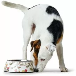 HUNTER Futternapf, Edelstahl, Weiß/mehrfarbig -Günstiges Tierbedarf Geschäft unnamed file 3771
